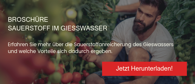 Broschüre Sauerstoff im Giesswasser